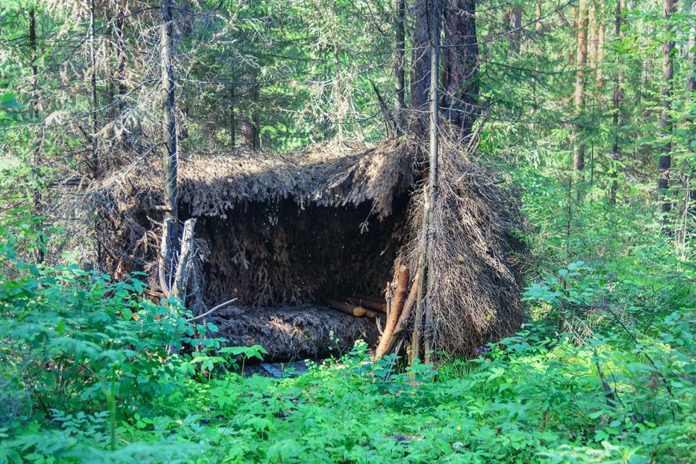 A survival shelter in the forest
