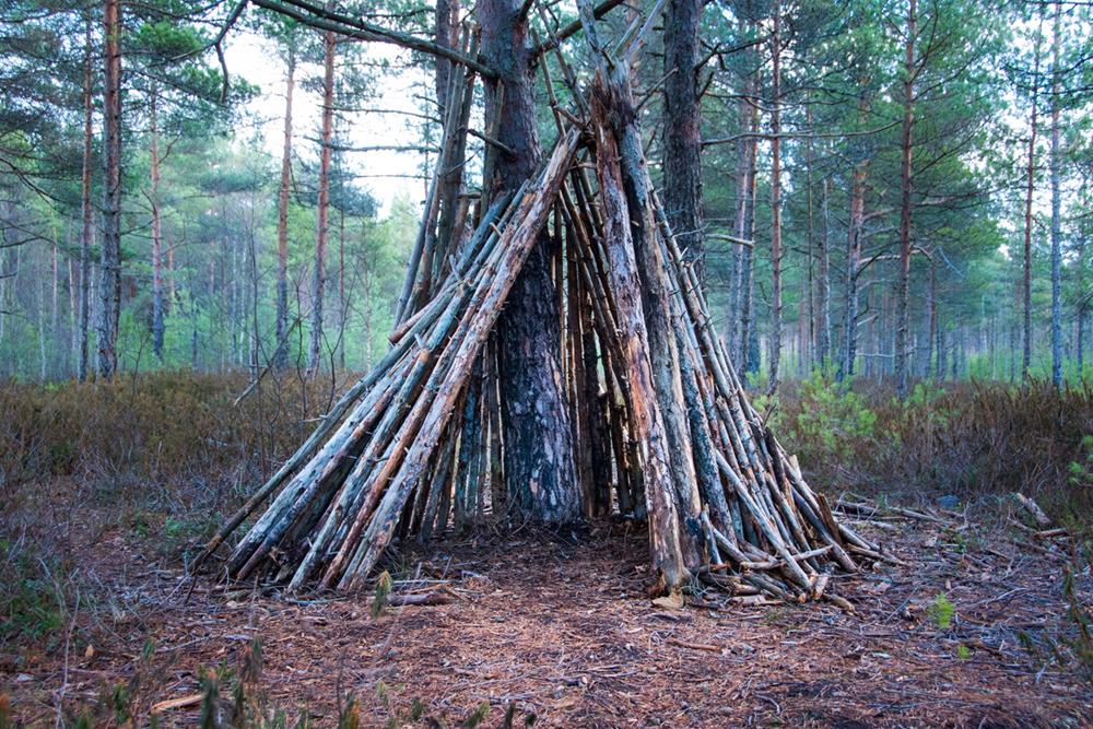 A survival shelter made of branches