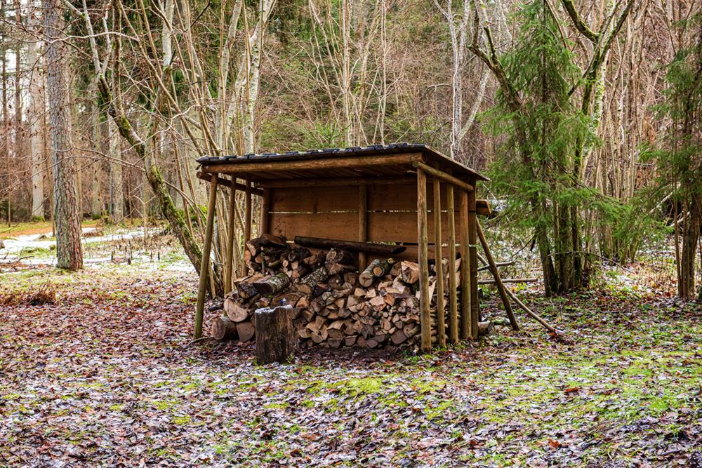 A firewood storage in the forest