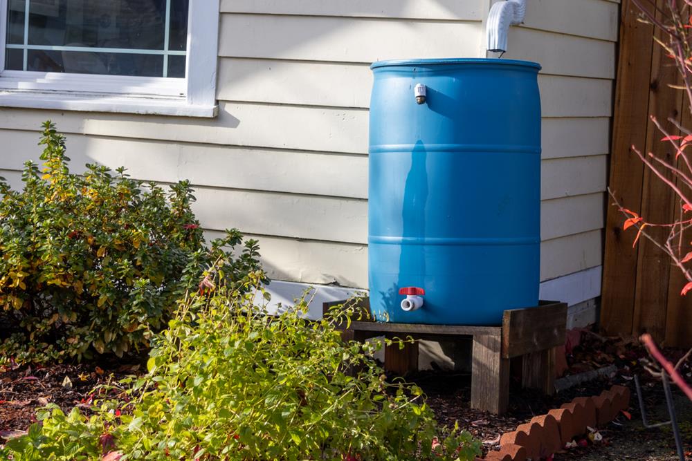 Rain barrel on house gutter