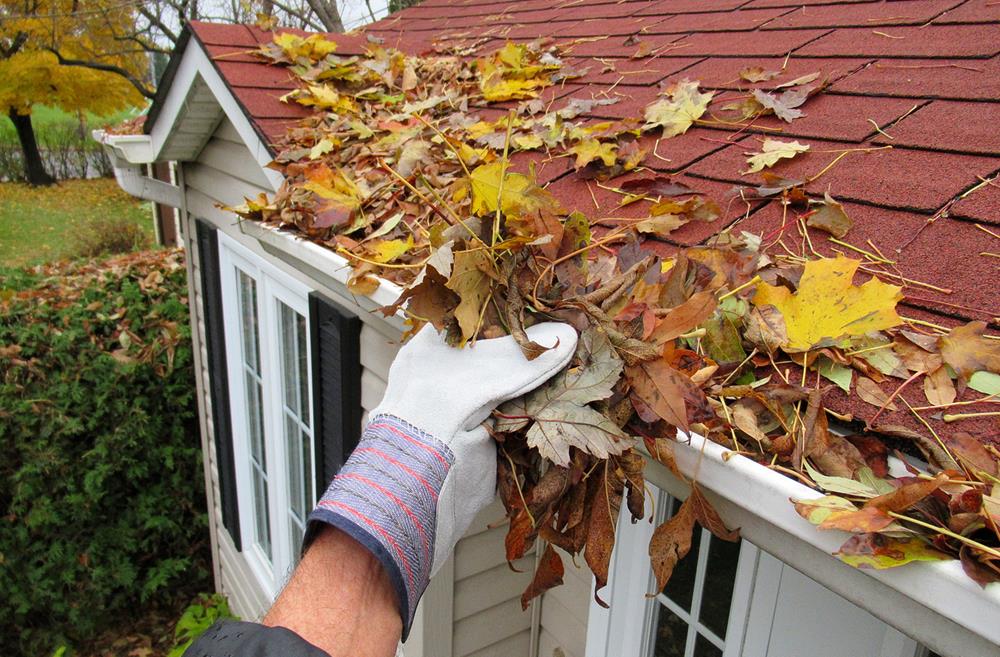 Cleaning the gutters