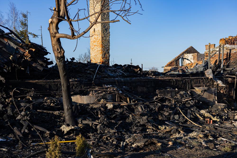 Charred remains of structures and trees after a wildfire