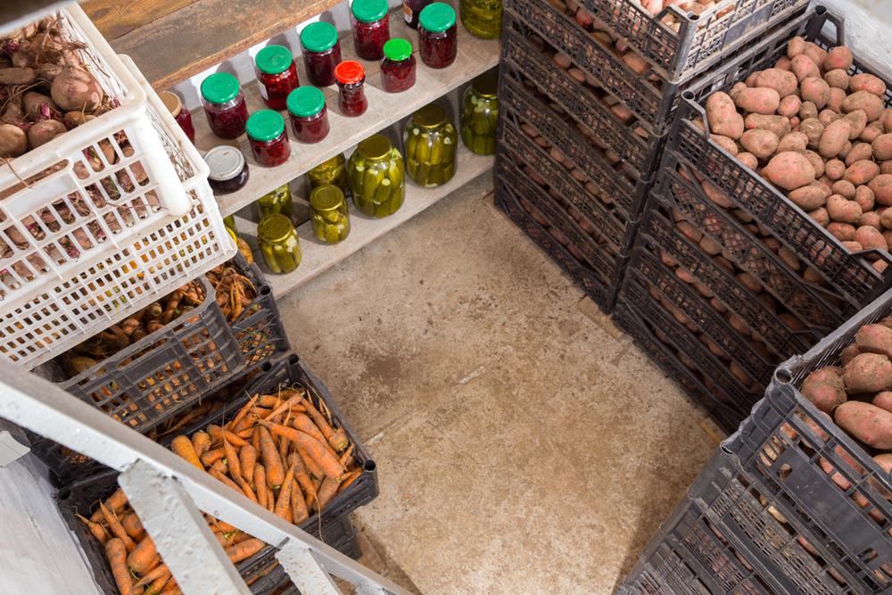 Different root crops stored in a cellar