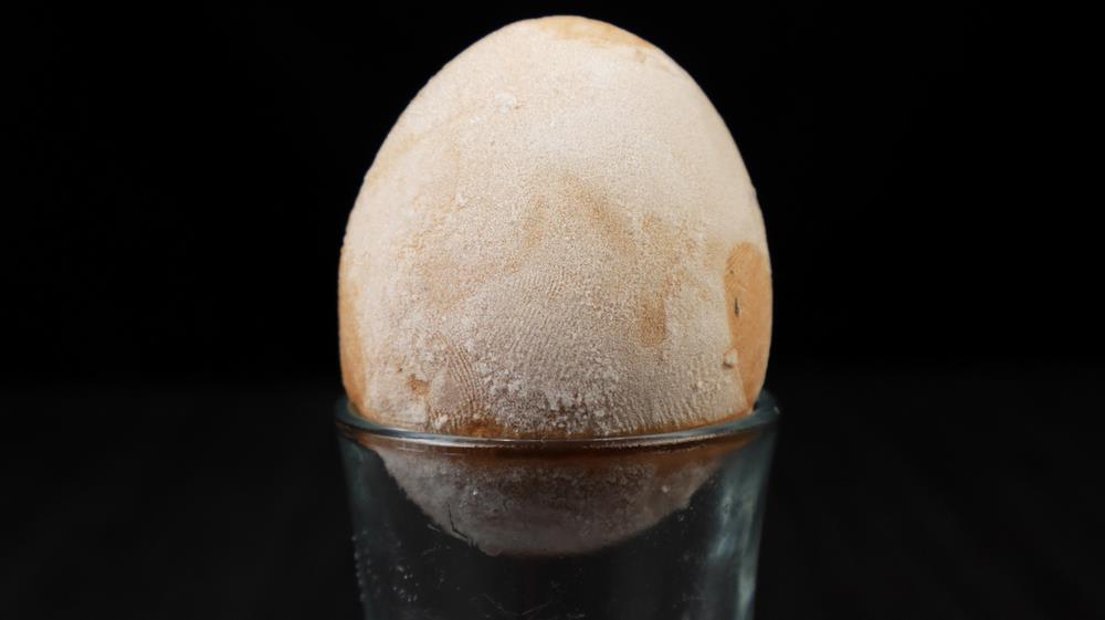 Frozen eggs on glass cup