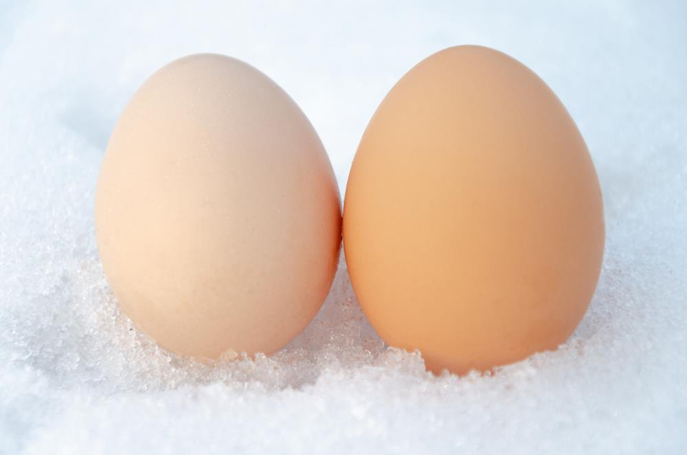 Frozen eggs