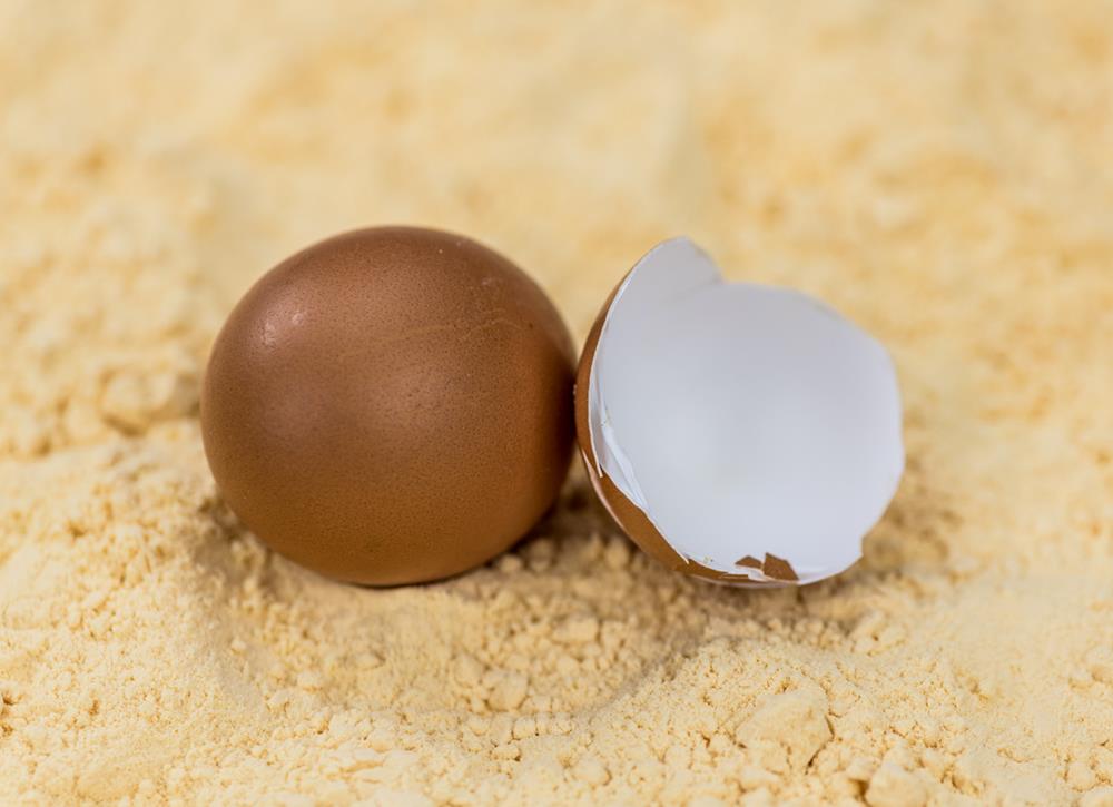 Fresh and powdered eggs