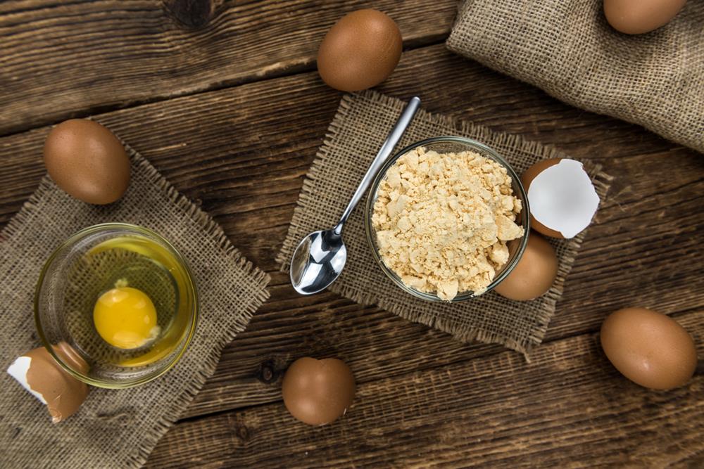Fresh egg and powdered eggs in bowls