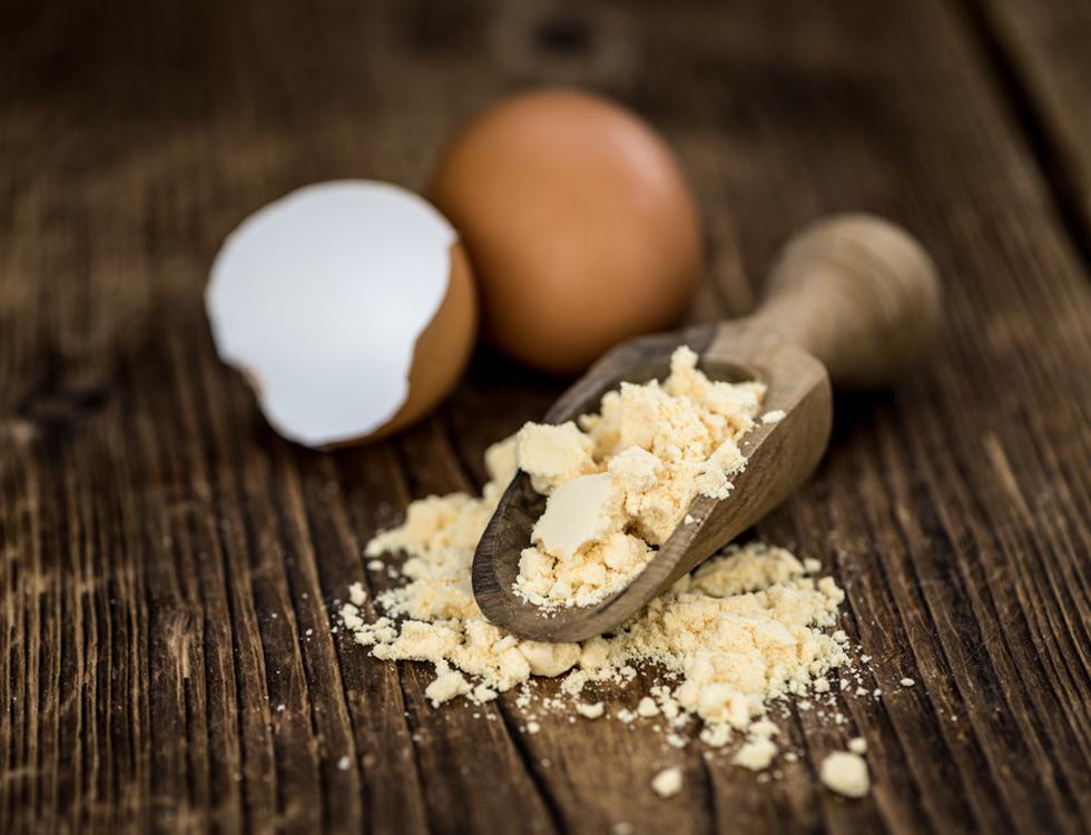 Powdered egg with a wooden scoop