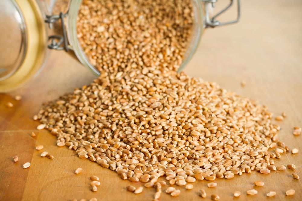 Wheat berries from a jar