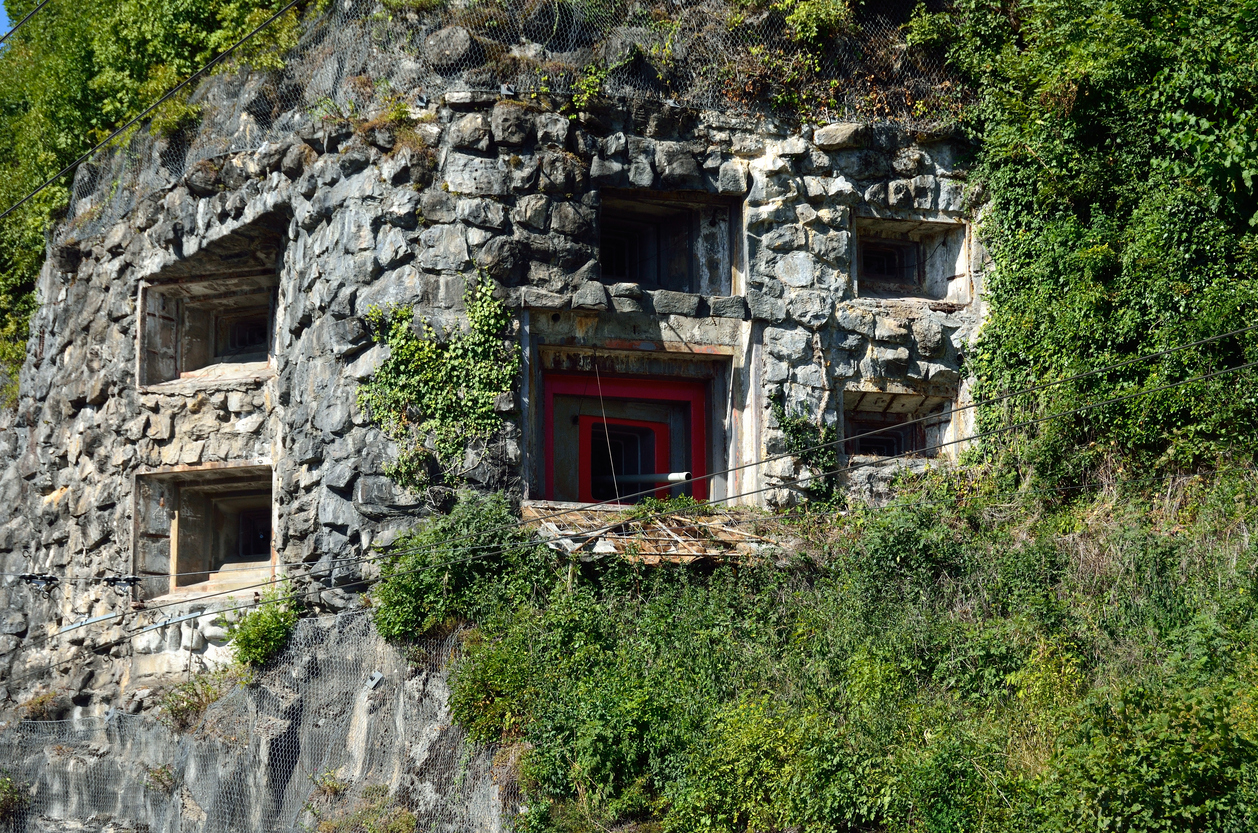 From Cold War Paranoia to Modern Threats Evolving Perceptions