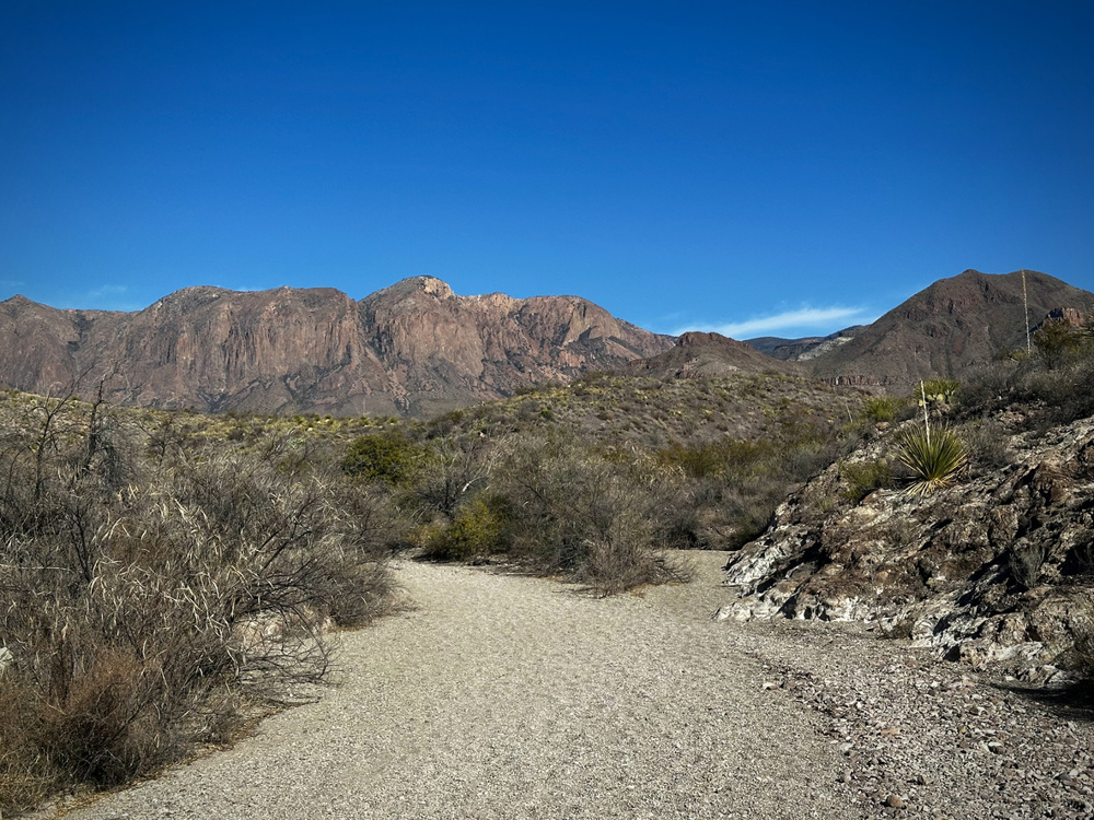 A winding path leading through the dry desert landscape with mountains at the Big Bend National Park, Texas