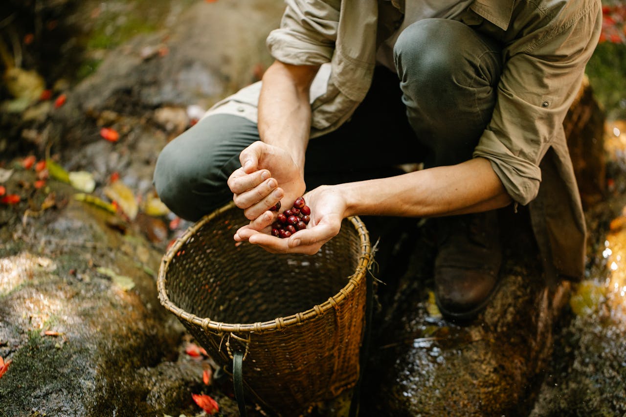 wild food growing