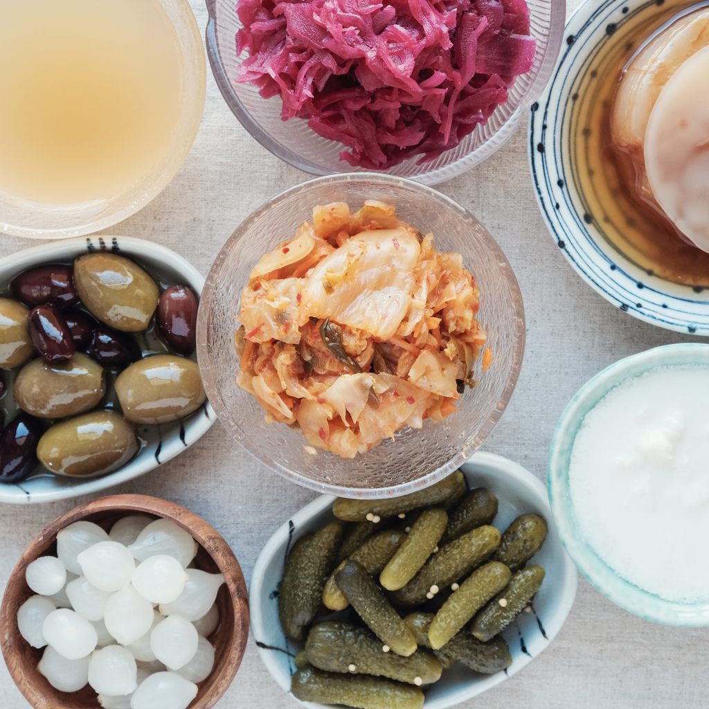 Variety of fermented probiotic foods