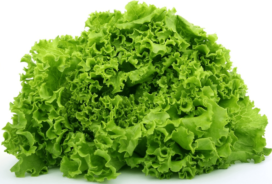 Eat more Lettuce in Winters.