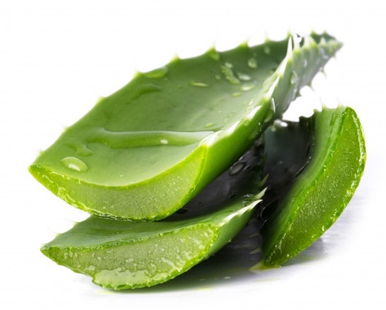 Aloe vera on the table