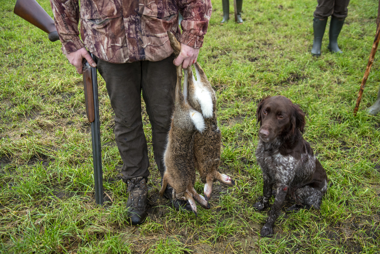 Hunting and Trapping