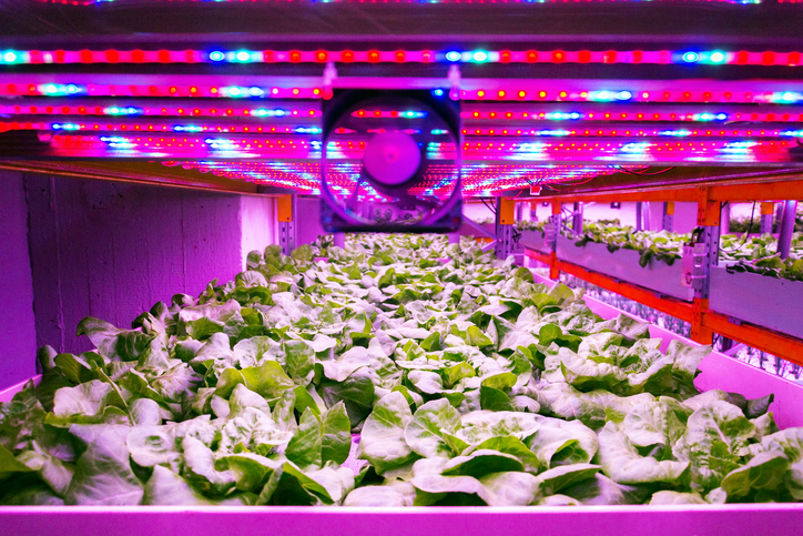 LED Lighting for Growth