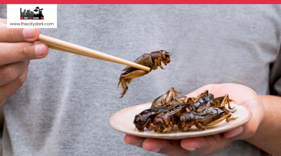 Protein Ininsects How Can Edible Insects Be Safely Prepared and Used as a Protein Source ...