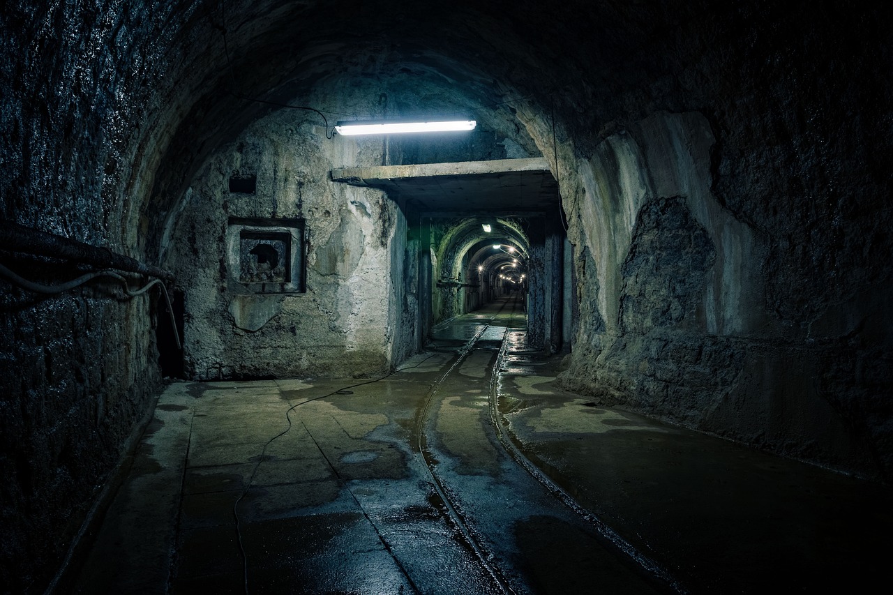 From War to Peace The Evolution of Bunkers