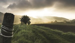 What to Consider Before Moving to a Rural Location