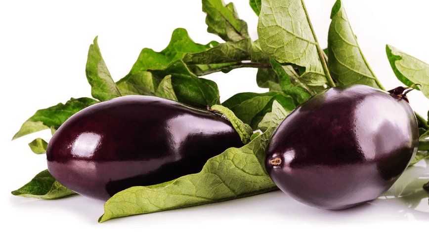 Take care of the Eggplant because it requires a lot of water. 