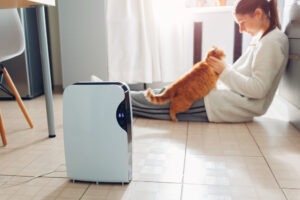 Here's 5 Ways to Clean Your Humidifier