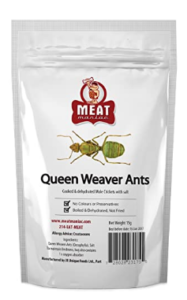 Meat Maniac Edible Insects | Salted Queen Weaver Ants