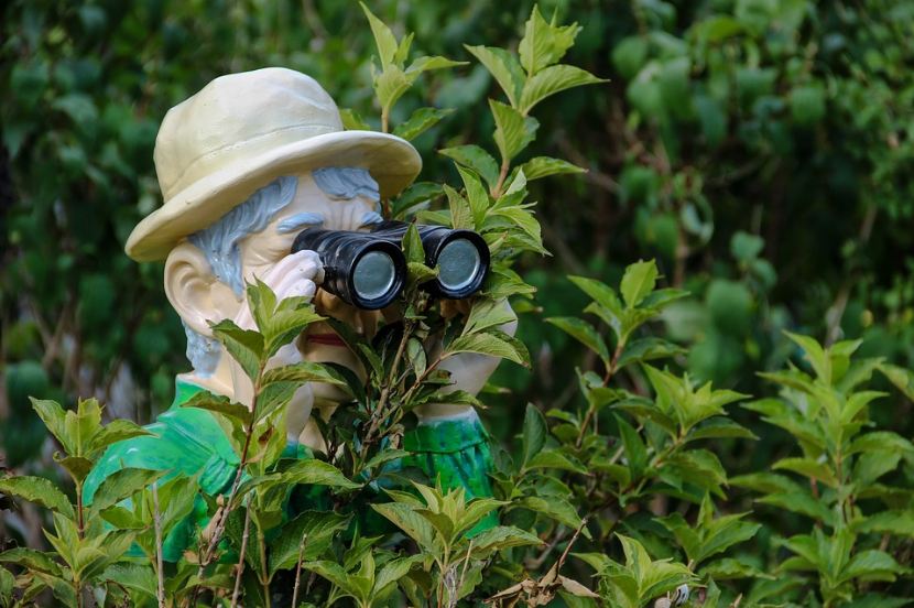 man-figure-watch-binoculars-hidden