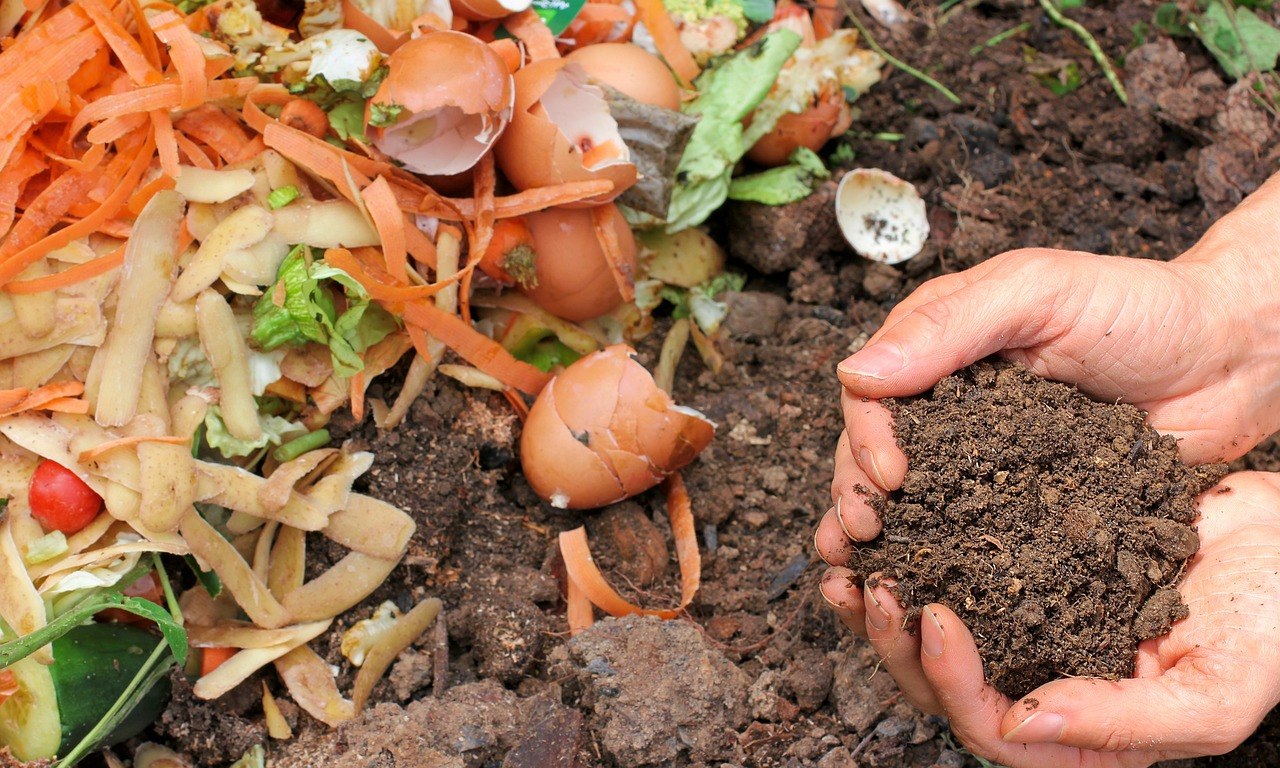 Composting Organic Waste